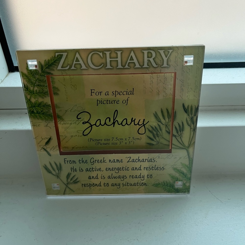 Zachary magnetic frame brand new